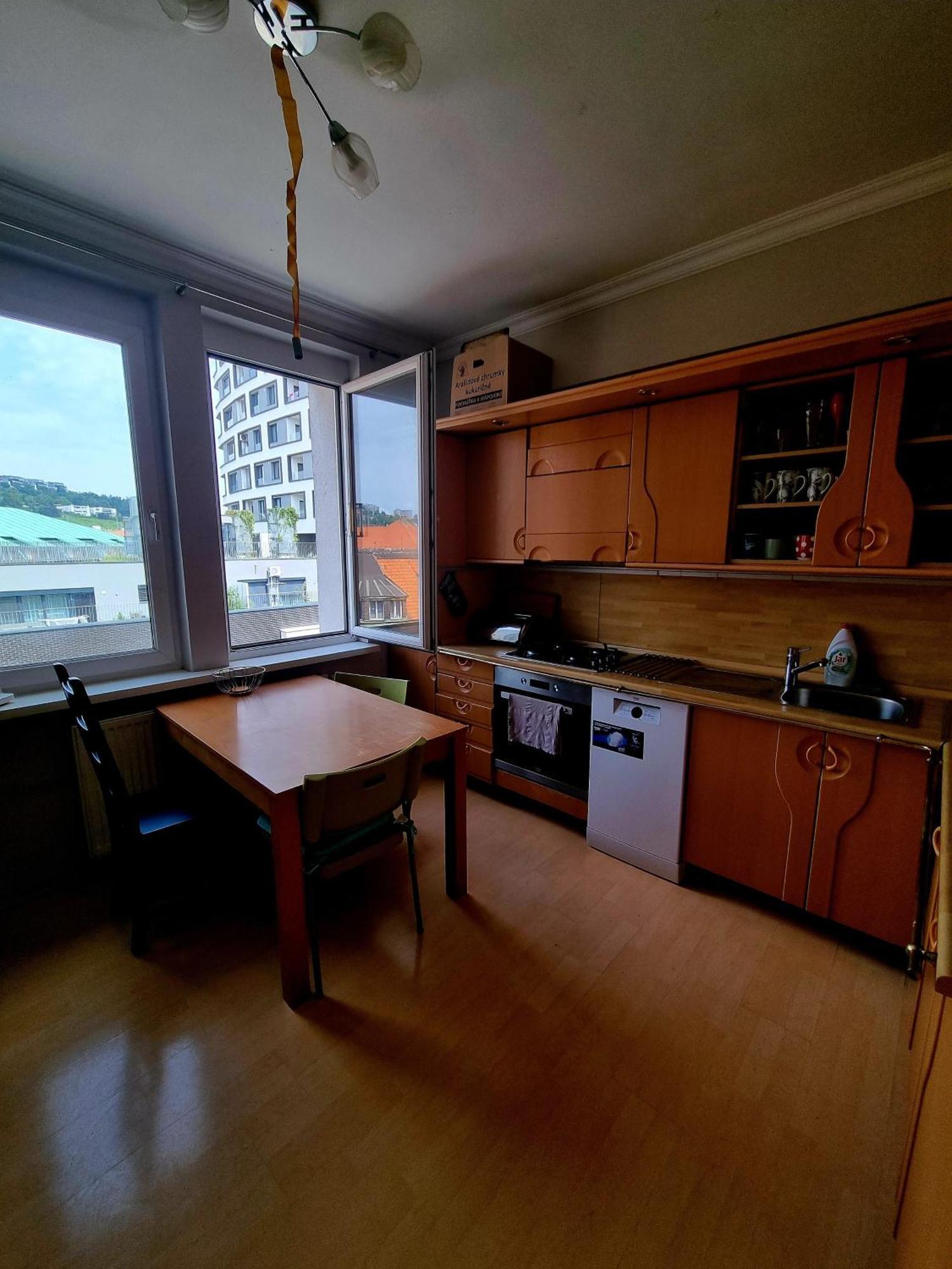 ברטיסלאבה Big 4-Room Spacious Apartment מראה חיצוני תמונה